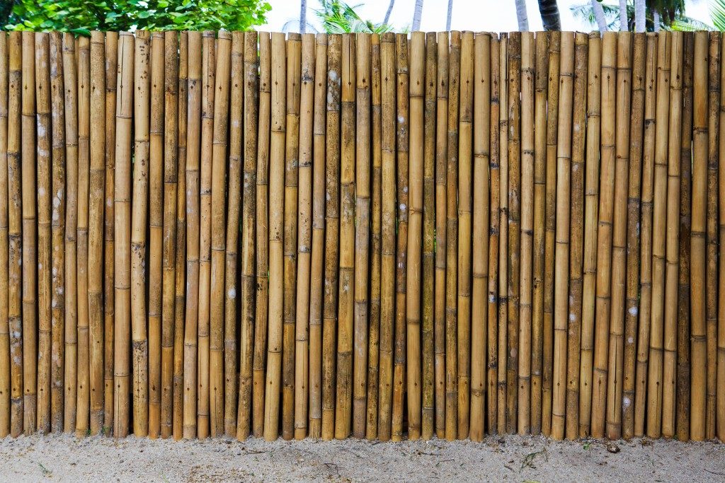 bamboo fence