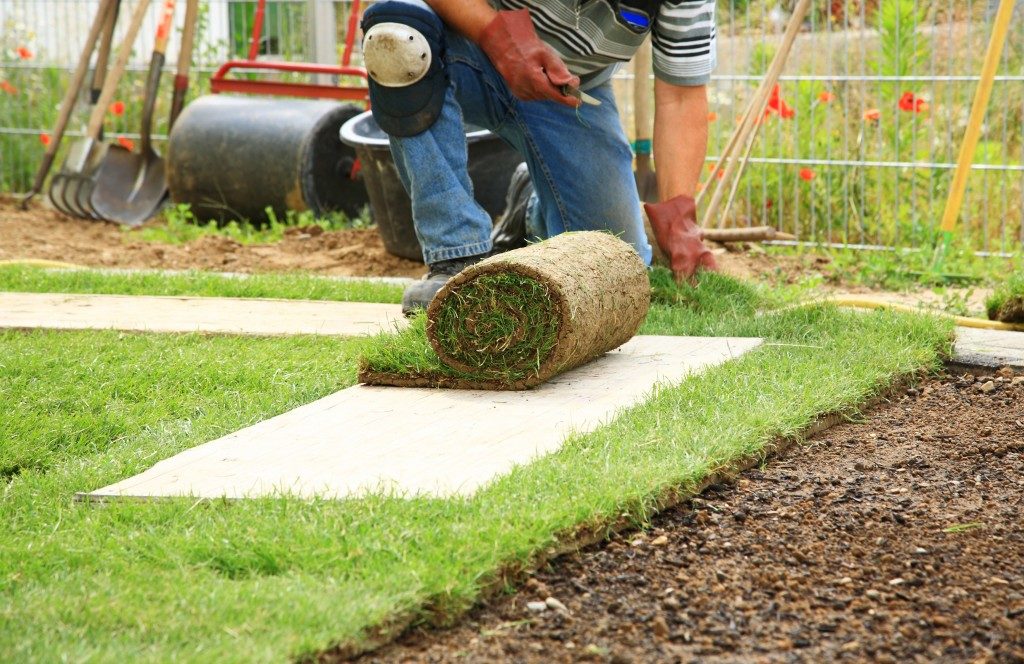 Commercial Landscaping