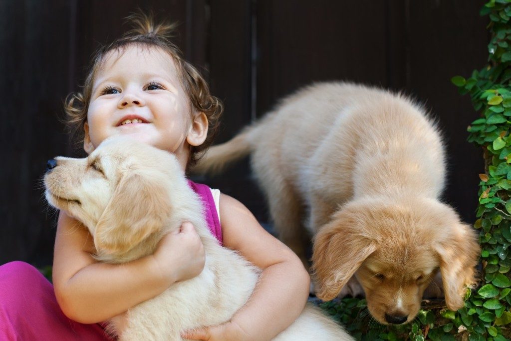 little girl with two dogs