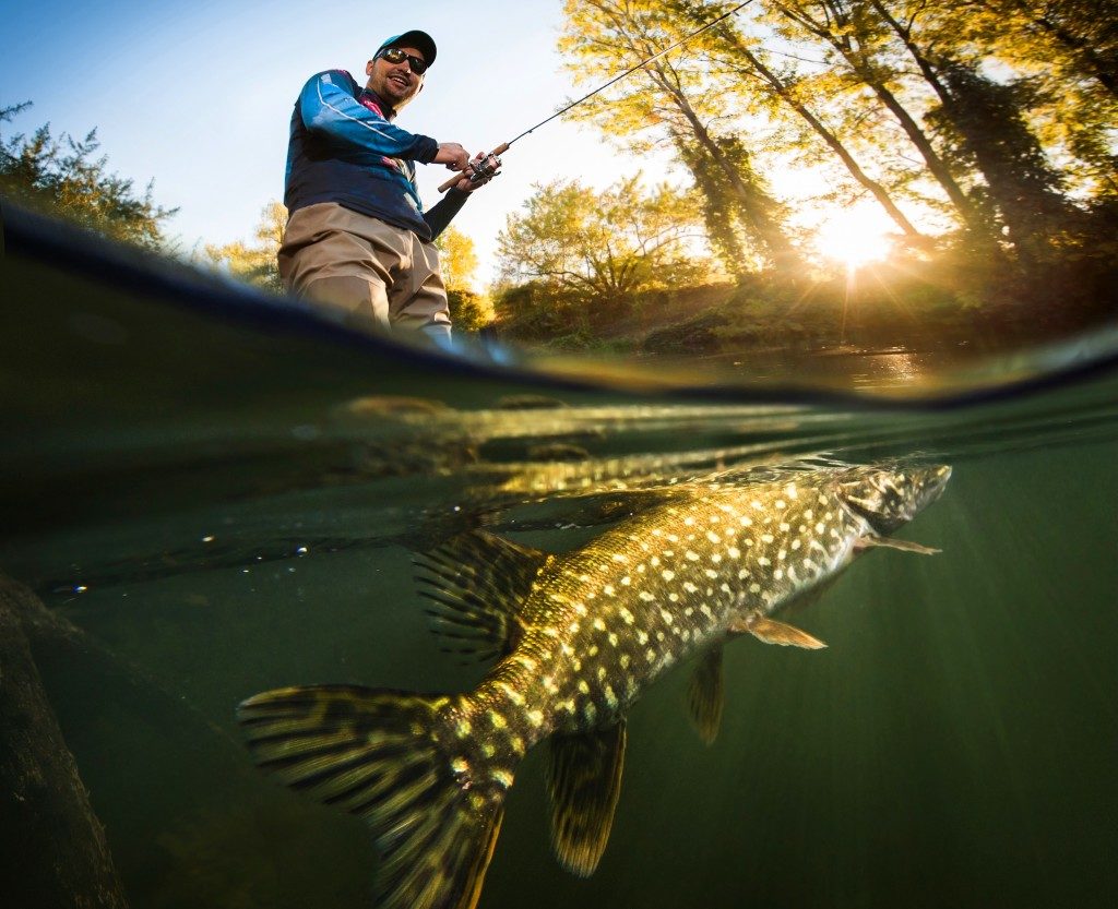 Fishing in fresh water