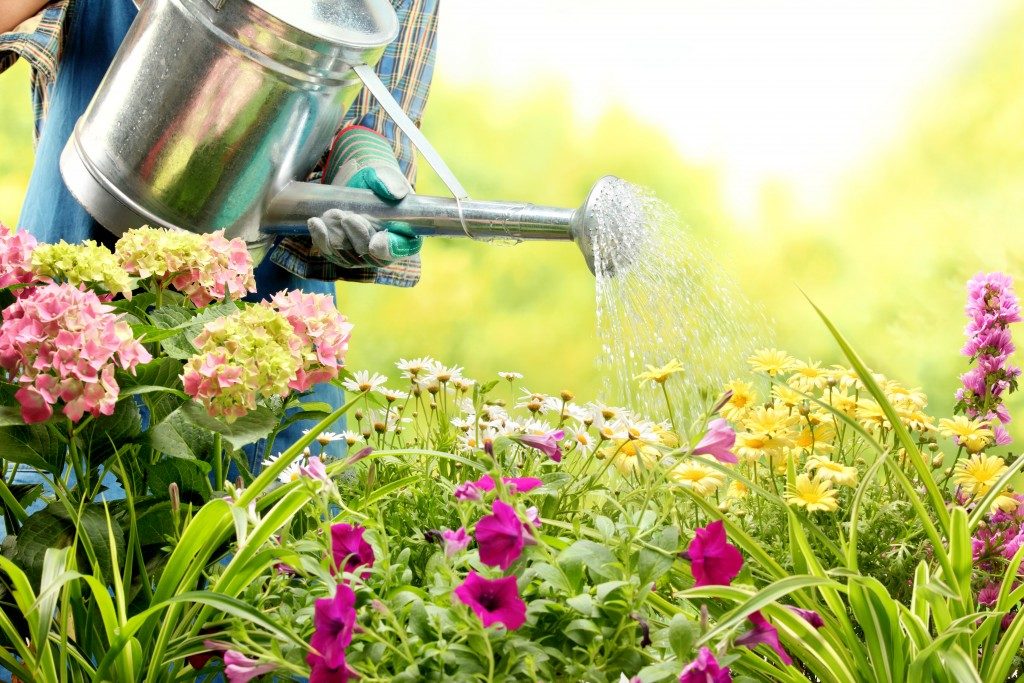 watering flowers in garden