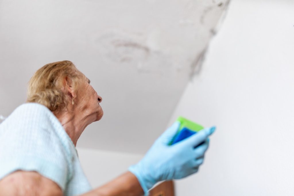 Cleaning up dangerous fungus from a wet wall after water leak