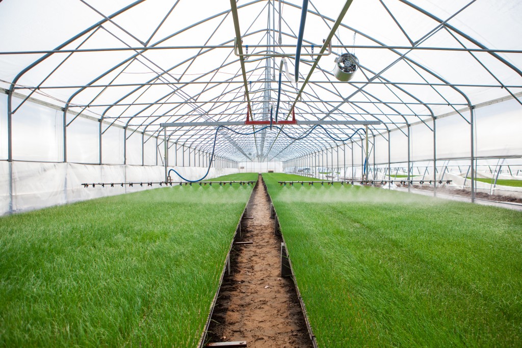 greenhouse concept