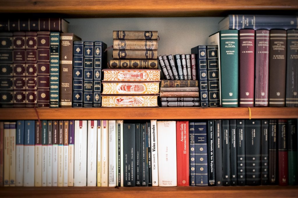 bookcase with books