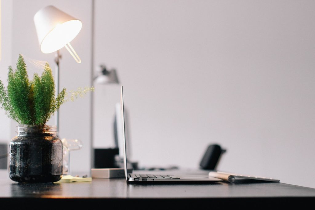 plant on a desk